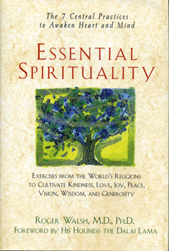Essential Spirituality: The Seven Central Practices